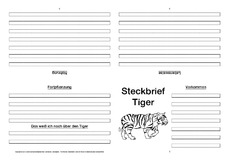 Tiger-Faltbuch-vierseitig-2.pdf